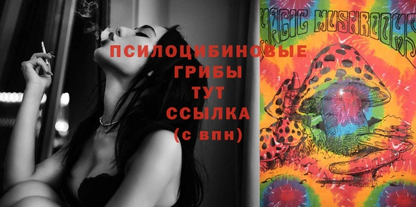эйфоретик Саяногорск